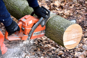 Points of Tree Service