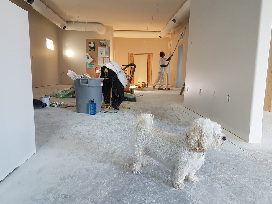 general cleaning